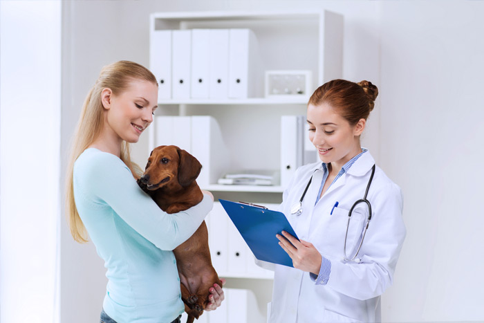 ЭЦП для оформления ветеринарных сертификатов (ГИС Меркурий) в Чебоксарах